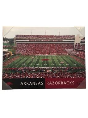 Arkansas Razorback Football Stadium Canvas Print 18 x 24